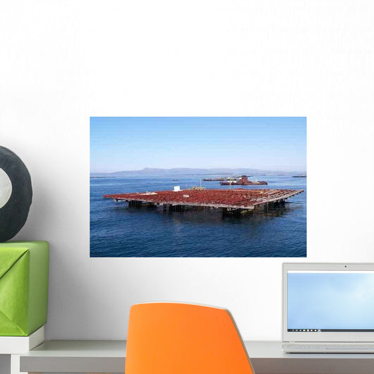 Mejillon Wall Decal
