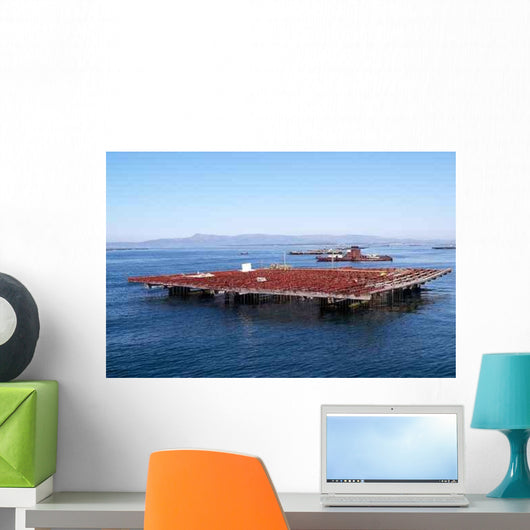 Mejillon Wall Decal