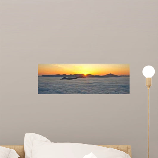 Spring Sunrise Wall Decal