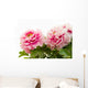 pink peony flower Wall Decal