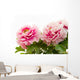 pink peony flower Wall Decal
