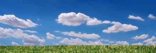 Grass Wall Decal Design 2