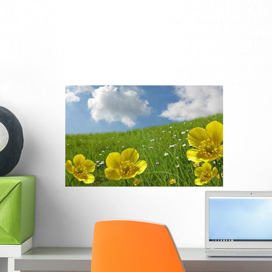 Bouton D'or Nuages Wall Decal