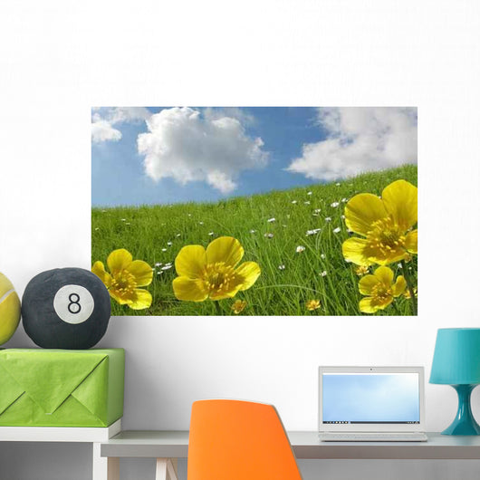 Bouton D'or Nuages Wall Decal