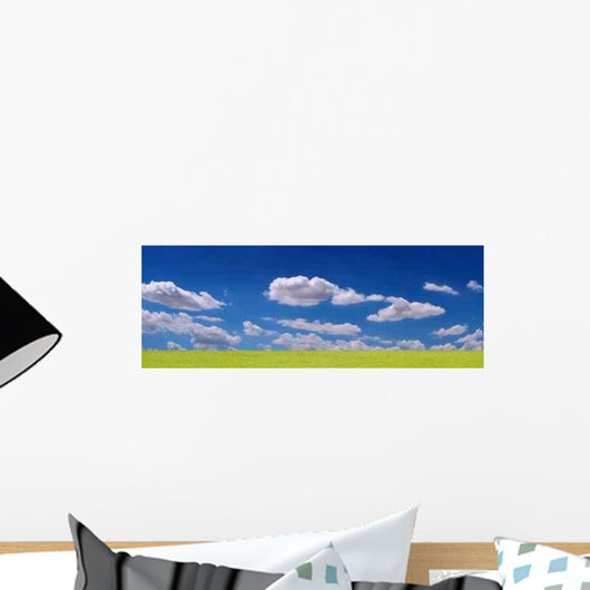 Grass and Clouds Panorama Wall Decal