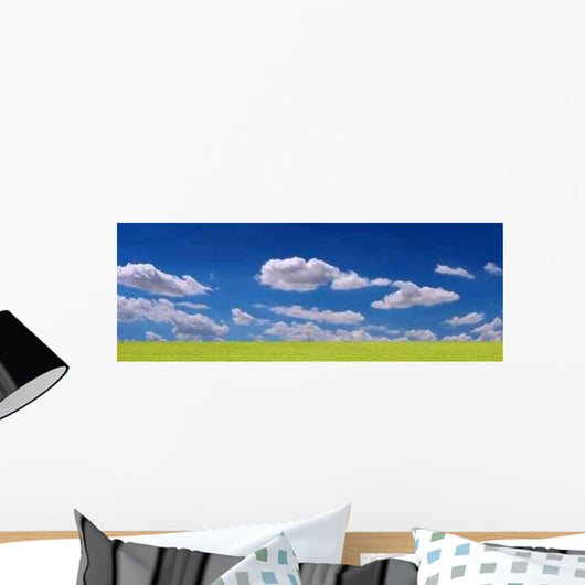 Grass and Clouds Panorama Wall Decal