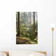 Spring Morning Woods