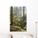 Spring Morning Woods
