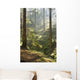 Spring Morning Woods