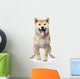 Smiling Shiba inu dog Wall Decal