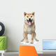 Smiling Shiba inu dog Wall Decal