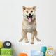 Smiling Shiba inu dog Wall Decal