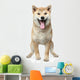 Smiling Shiba inu dog Wall Decal