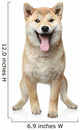 Smiling Shiba inu dog Wall Decal