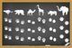 Animals Footprints Blackboard Wall Mural