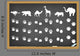 Animals Footprints Blackboard Wall Mural