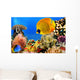 Photo of a coral colony, Red Sea, Egypt Wall Mural