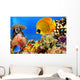 Photo of a coral colony, Red Sea, Egypt Wall Mural
