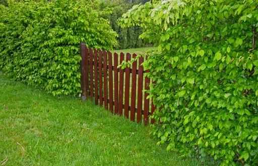Gartenzaun Wall Decal