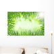 Green Bamboo Leaves over
