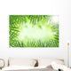Green Bamboo Leaves over