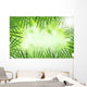 Green Bamboo Leaves over
