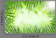 Green Bamboo Leaves over