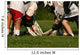 Lacrosse Game Wall Decal