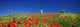 Les Couleurs Du Paradis