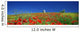 Les Couleurs Du Paradis