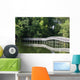 Foot Bridge