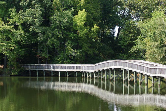 Foot Bridge