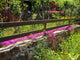 Garden Wall Mural