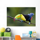 Keel Billed Toucan from