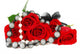 Roses and Jewelery