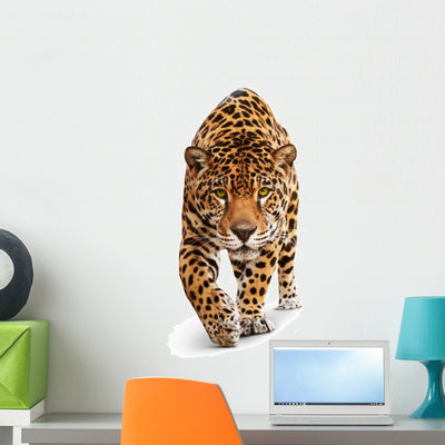 Front Jaguar Wall Decal shown on a wall