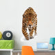 Front View Jaguar Wall Decal