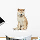 Shiba inu dog on a white background Wall Decal