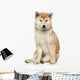 Shiba inu dog on a white background Wall Decal