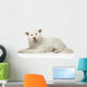 Akita inu dog lying on white background Wall Decal