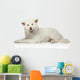 Akita inu dog lying on white background Wall Decal