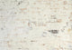 White Brick Wall Texture Wall Mural