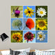 Collage Rural Flowers Wall Mural