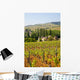Vineyard Landscape