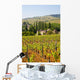 Vineyard Landscape