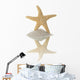 Starfish Wall Mural