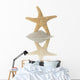 Starfish Wall Mural