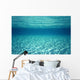 fond marin Wall Mural