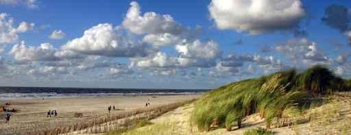 Strolling over Windy Beach Wall Decal