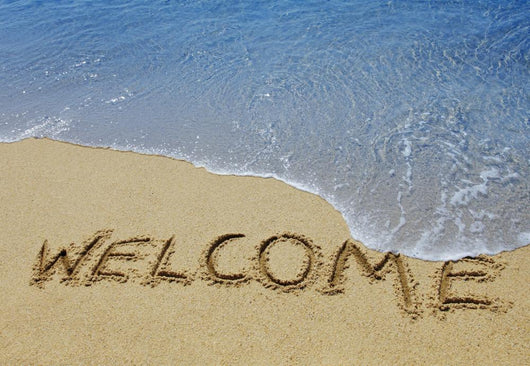 welcome Wall Mural